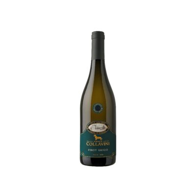 Pinot Grigio "Villa Canlungo"